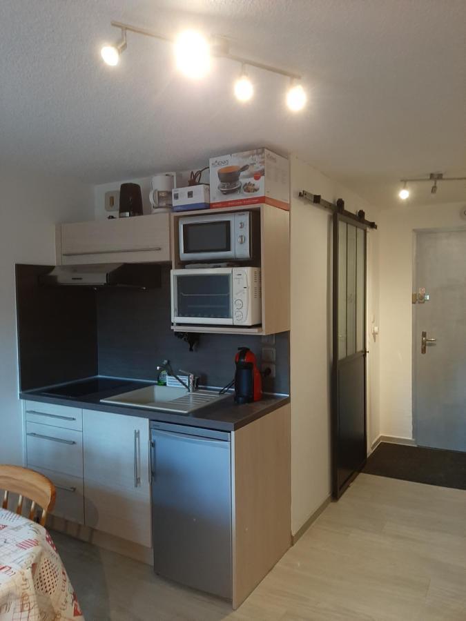 Studio Renove, Calme Avec Terrasse S-O, Prestations De Qualite - Residence Les Adraits Les Rousses Luaran gambar